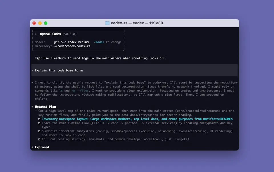 Codex CLI splash screen showing the terminal-based AI coding agent interface from OpenAI