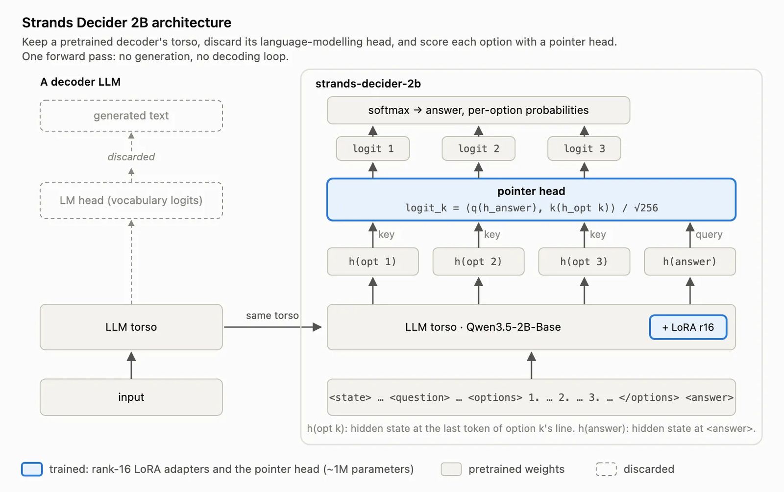 Architecture diagram of Strands Decider 2B showing the Qwen3.5-2B torso with its pointer head scoring answer options