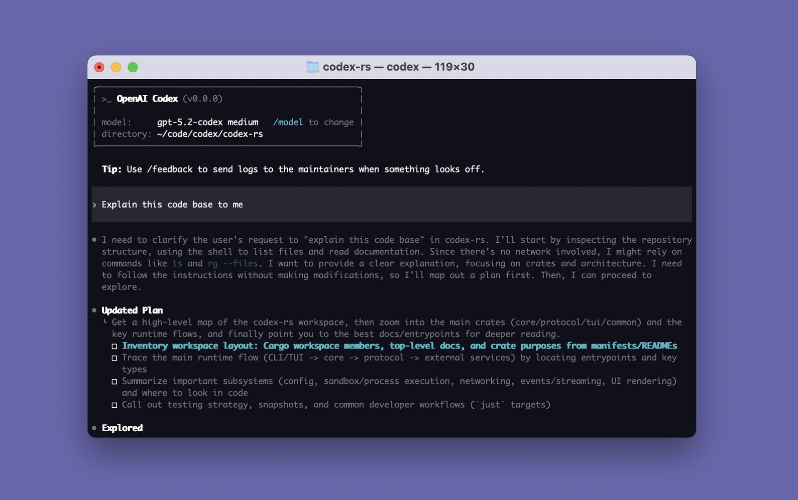 OpenAI Codex CLI terminal window showing a model prompt session with an updated plan and task list