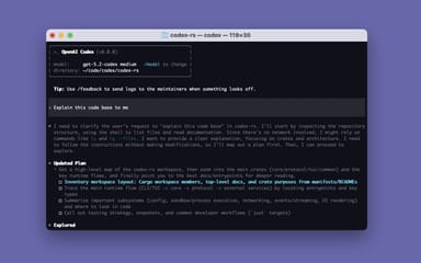 OpenAI Codex CLI terminal window showing a model prompt session with an updated plan and task list